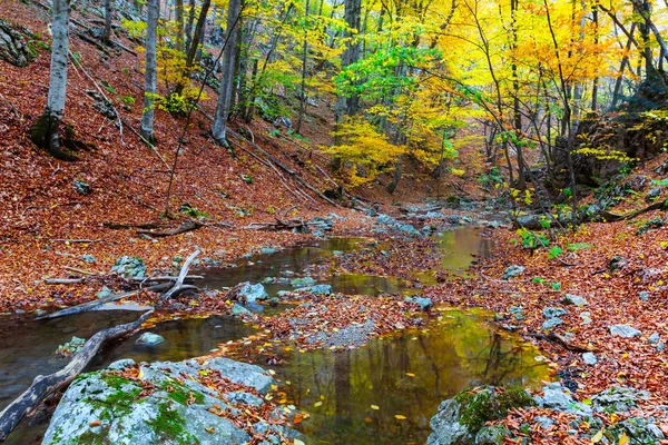 Autumn mountain canyon scene — Stock Photo, Image