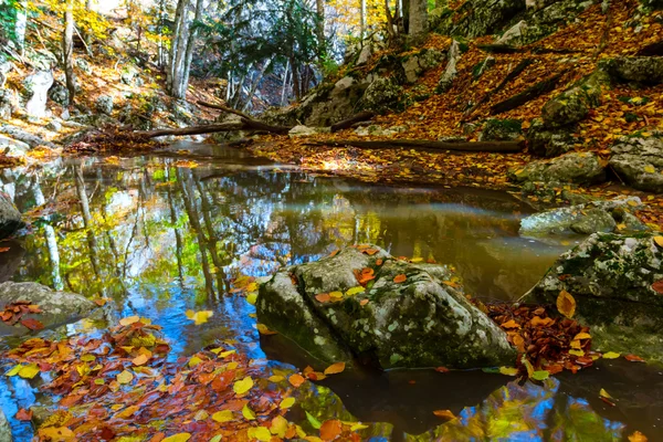 Autumn mountain river scene — Stock Photo, Image