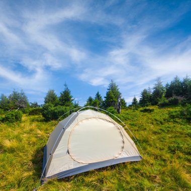 Bir orman glade beyaz turistik çadır