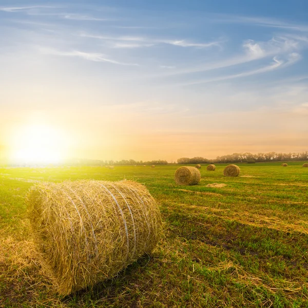 Nach der Sommerernte — Stockfoto