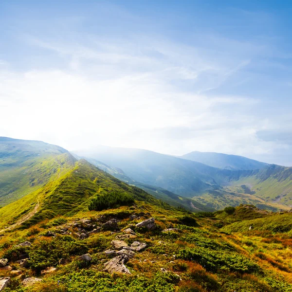 Green mountain scene — Stock Photo, Image