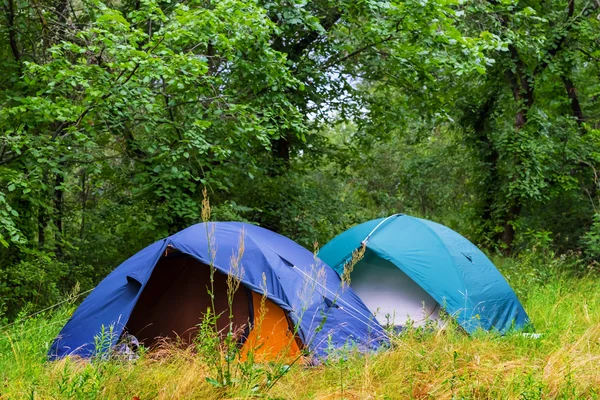 Toeristische kamp in een zomer forest — Stockfoto