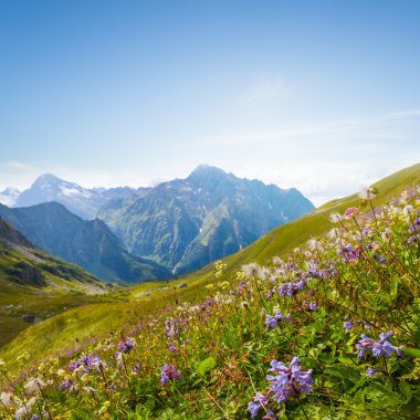 Yeşil dağ yamacında bir çıtır