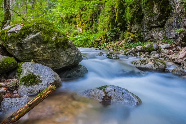 Rio do cânion da montanha — Fotografia de Stock