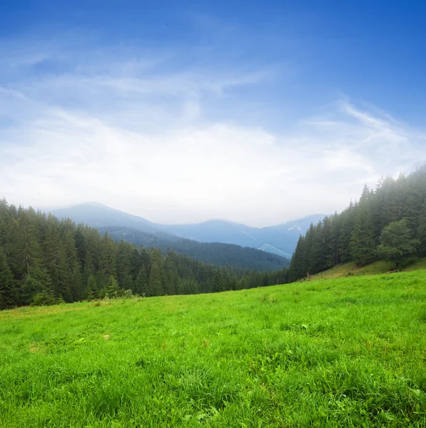 Verde escena de montaña — Foto de Stock