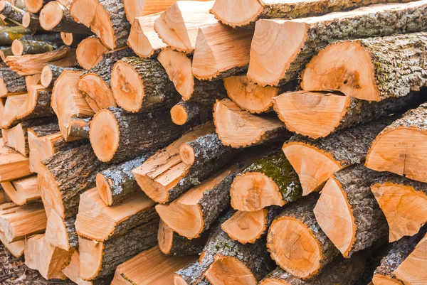 Closeup heap of firewoods — Stock Photo, Image