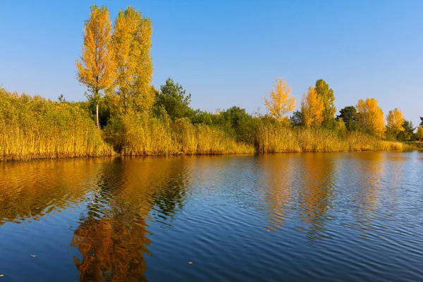 秋の湖のシーン — ストック写真