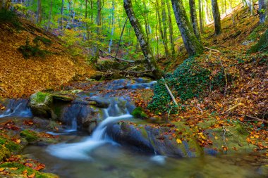 sonbahar dağ Kanyonu