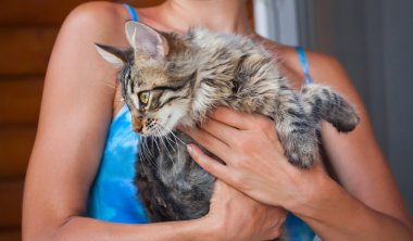 kedi ile oynarken kız