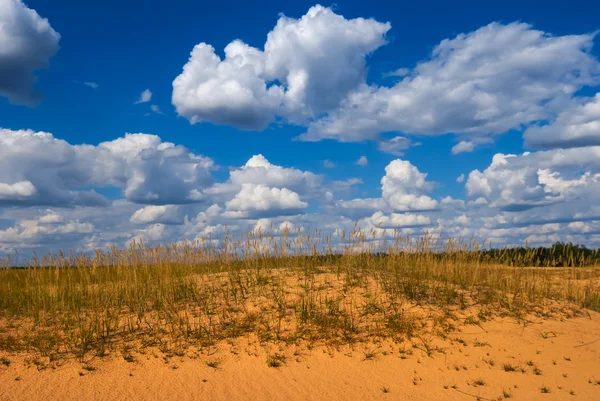 Yaz sıcak kumlu çöl — Stok fotoğraf