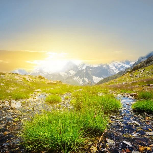 Green mountain valley at the early morning — Stock Photo, Image