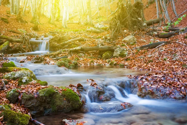 Piccolo fiume in un canyon di autunno — Foto Stock