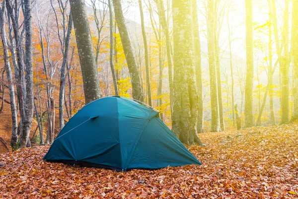 Campamento turístico bosque otoño —  Fotos de Stock