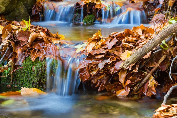 Nahaufnahme Bergbach — Stockfoto