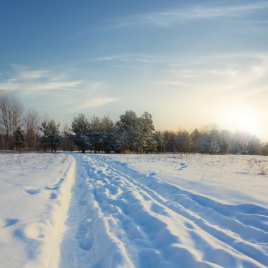 Kış akşam manzarası