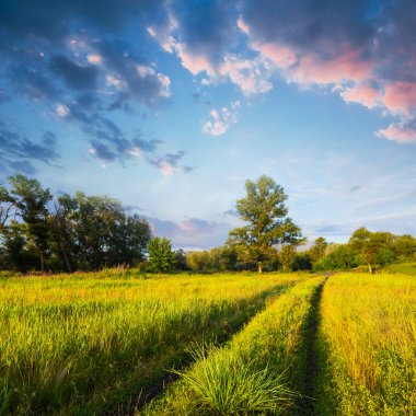 Akşam çayır sahne