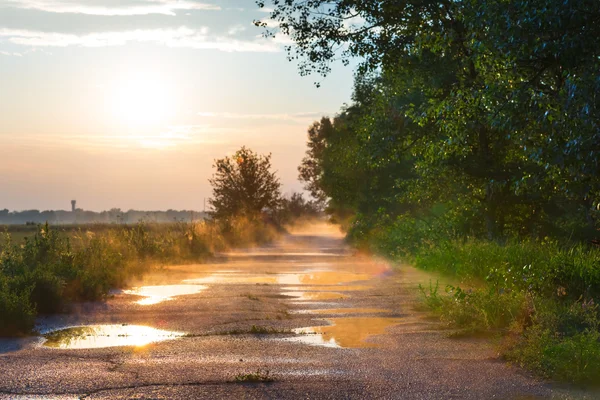 Été automne route après une pluie — Photo