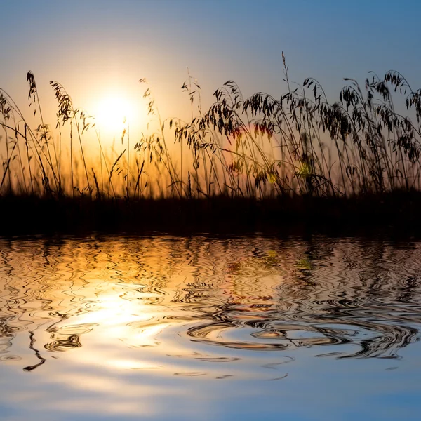 川に反映される日没 — ストック写真