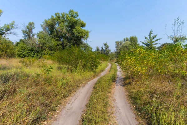 Rural ground road through a countryside — Stock Photo, Image