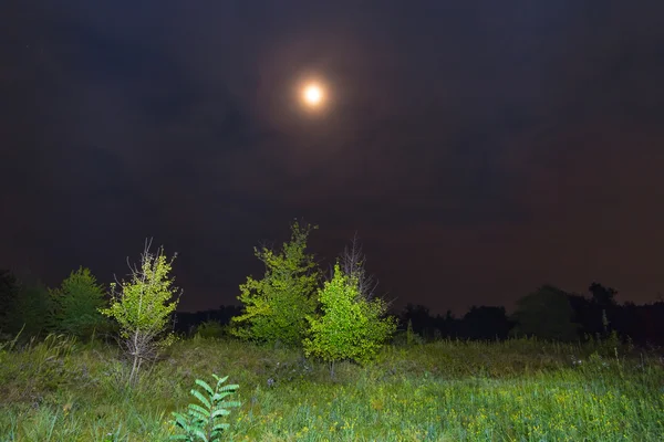 Nattbild måne över fälten — Stockfoto