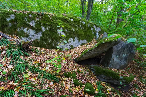 Stenar i en höst skog — Stockfoto