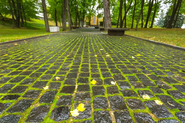 Närbild brickroad i en park — Stockfoto