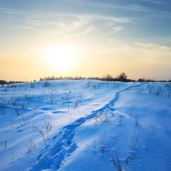 Pôr do sol de inverno sobre uma planície — Fotografia de Stock