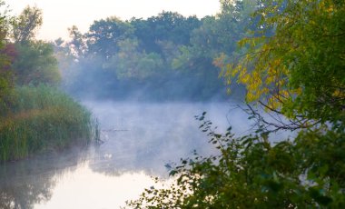 calm river in blue mist with forest on coast at the early morning