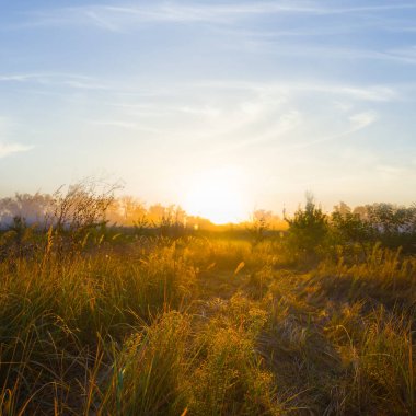 Kuru sonbahar çayırlarında, mavi sisli gündoğumunda.