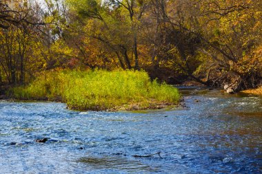 calm river  with forest in red dry leaves on the coast, quiet outdoor autumn landscape