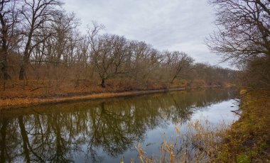 calm river  with forest in red dry leaves on the coast, quiet outdoor autumn landscape
