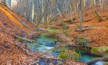 Küçük zümrüt nehri dağ kanyonundan akar kırmızı kuru yapraklarla kaplıdır, sonbahar nehri manzarası