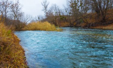 Sahilde ormanlı sakin bir nehir, sonbahar açık hava manzarası