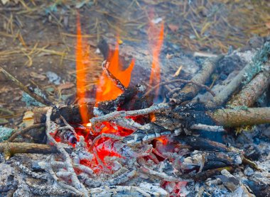 Ormandaki açıklıkta yakın kamp ateşi