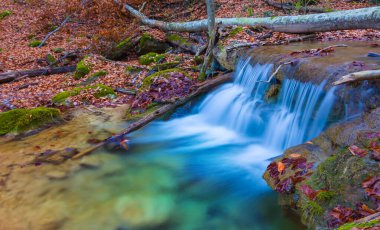 Nehirdeki şelale dağ kanyonu boyunca akar. Kırmızı kuru yapraklarla kaplıdır. Sonbahar nehir manzarası.