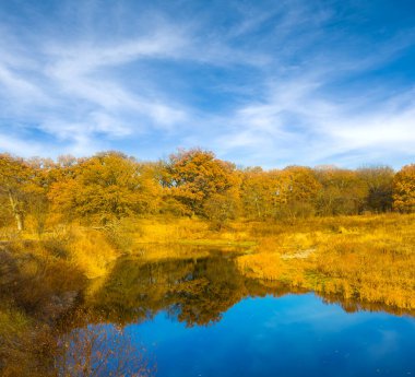 Mavi bulutlu gökyüzünün altında sakin bir nehir, güzel bir sonbahar mevsimi manzarası