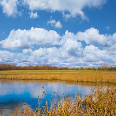 Mavi bulutlu gökyüzünün altında, kurak sonbahar çayırlarının arasında küçük sakin bir göl, mevsimlik açık hava manzarası.