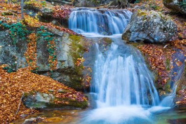 Nehirdeki şelale dağ kanyonu boyunca akar. Kırmızı kuru yapraklarla kaplıdır. Sonbahar nehir manzarası.