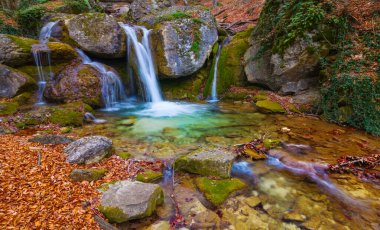 Nehirdeki şelale dağ kanyonu boyunca akar. Kırmızı kuru yapraklarla kaplıdır. Sonbahar nehir manzarası.