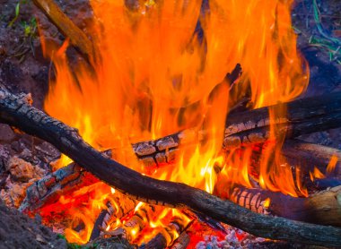 Ormandaki açıklıkta yakın kamp ateşi