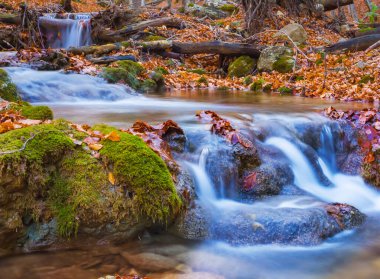 Nehirdeki şelale dağ kanyonu boyunca akar. Kırmızı kuru yapraklarla kaplıdır. Sonbahar nehir manzarası.