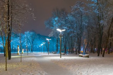 Geceleri fenerle karla kaplı şehir parkı