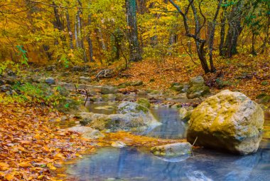 Küçük zümrüt nehri dağ kanyonundan akar kırmızı kuru yapraklarla kaplıdır, sonbahar nehri manzarası