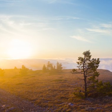 Yoğun bir sis ve gün batımında bulutlar.