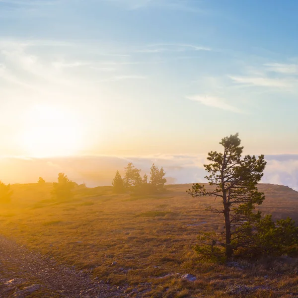 Yoğun bir sis ve gün batımında bulutlar.