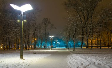 Geceleri fenerle karla kaplı şehir parkı