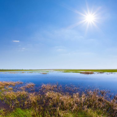 Pırıl pırıl güneşin altındaki selde bahar çayırları, güzel mevsimlik açık hava manzarası