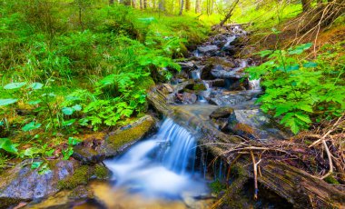Küçük bir dağ deresi taşların üzerinden kanyon boyunca akıyor.