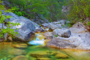 Zümrüt dağ nehri kocaman taşların arasında akıyor.