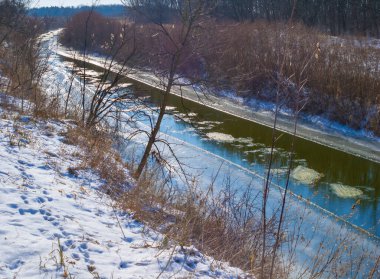 Erimiş kış nehri, aydınlık bir günde ormanda akıyor.